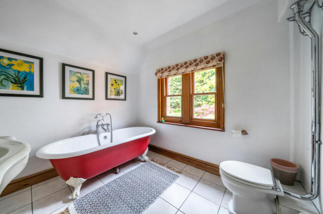 Picture 21