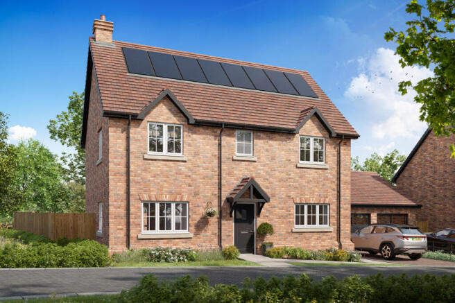 The Tulip 3 - Plot 9