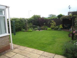 Garden Shot 2