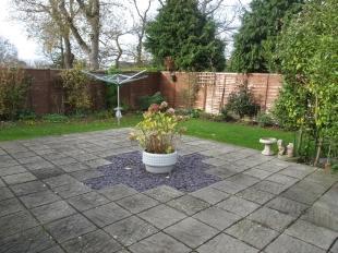 Patio Area