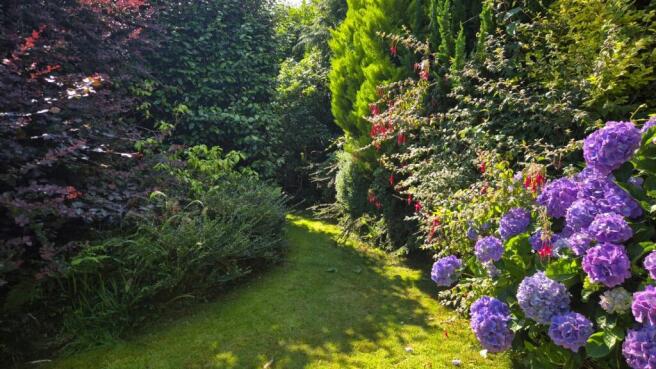 garden 2.jpeg