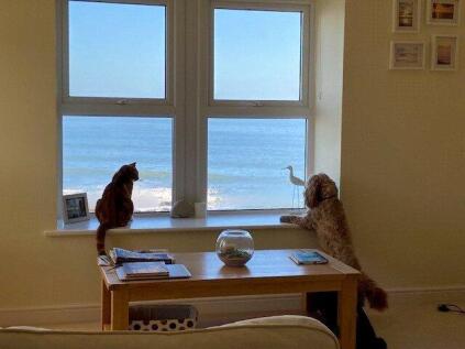 The Esplanade, Woolacombe, Devon, EX34
