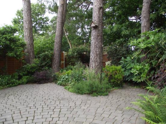 Garden 3
