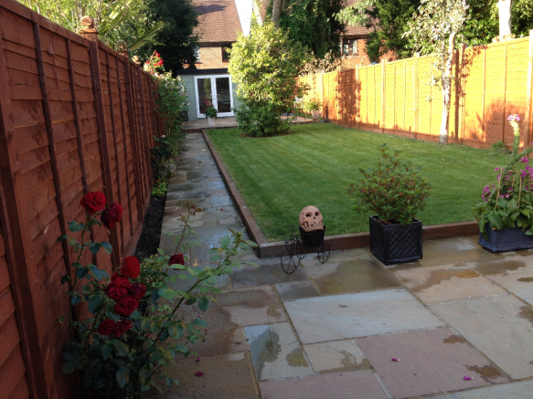 Photo 11