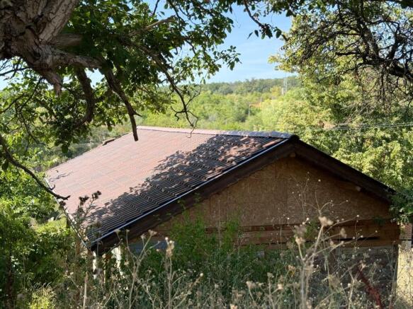 View of the old house partially hidden by trees and bushes in a rural setting.