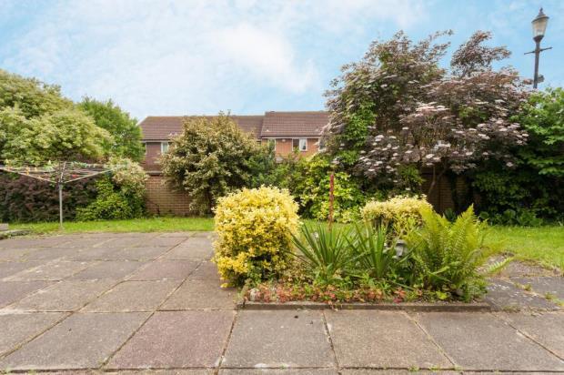 Communal Garden