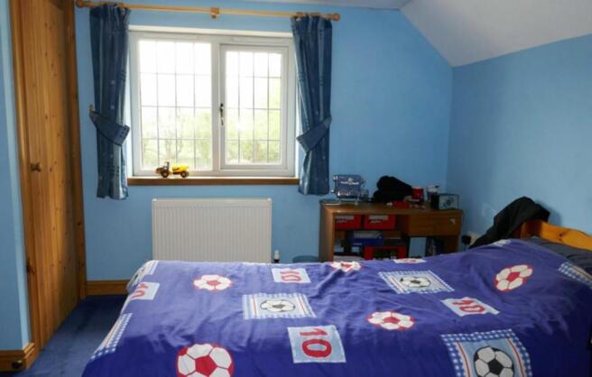 Picture 6