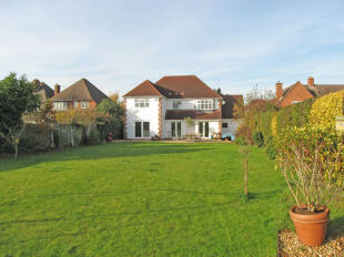 View from back