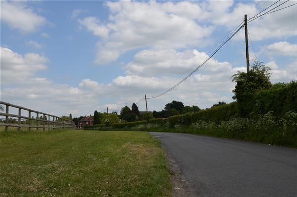 Local views
