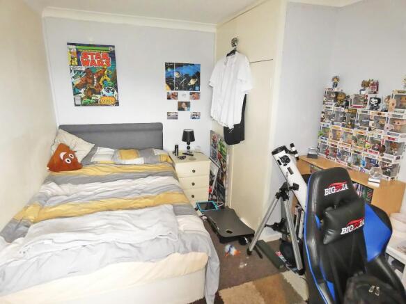 IMAGE 7