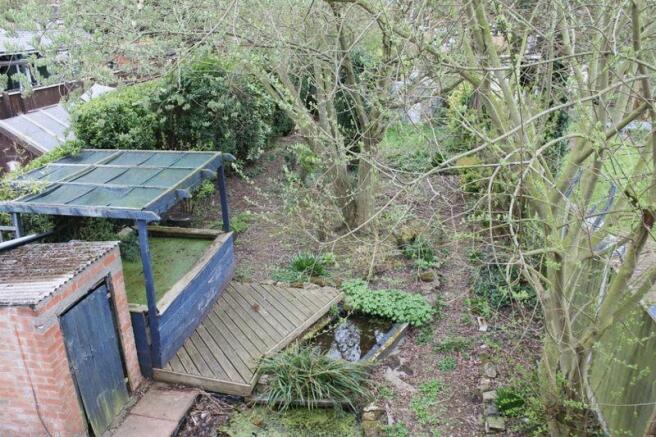 garden 1