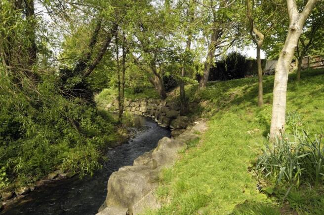 The Stream