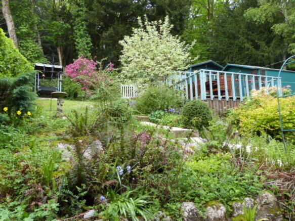 Photo 11