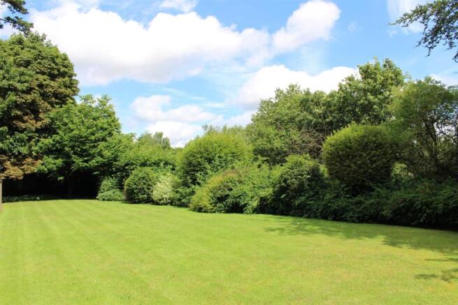 Garden4.JPG