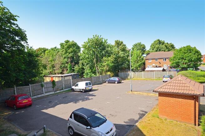 Driveway/Parking