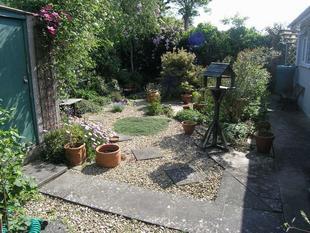 Photo 8