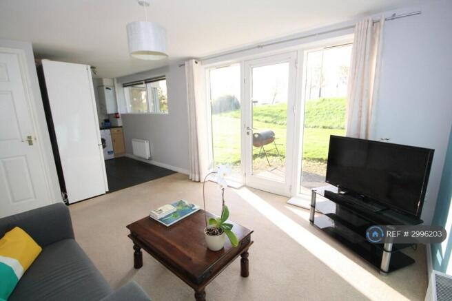 Living / Kitchen Area
