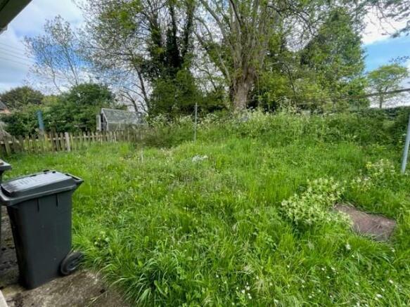 Back Garden.jpg
