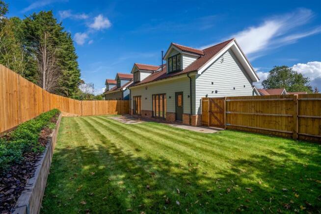 DSC02137.jpg