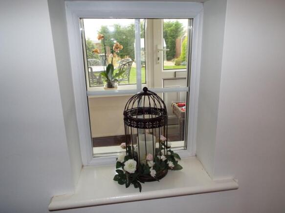 Window