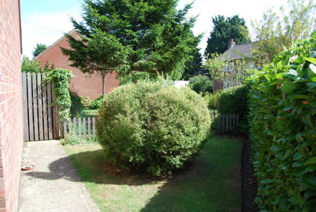 Photo 8