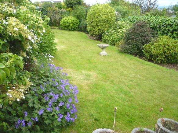 Image 16
