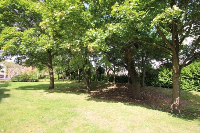 Communal Grounds