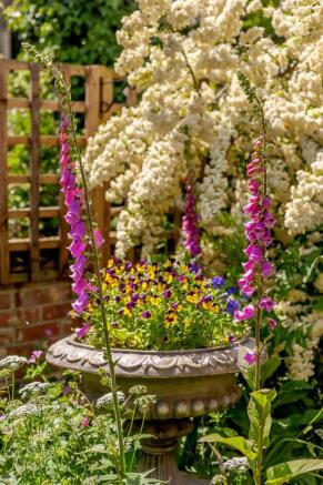 Garden Detail