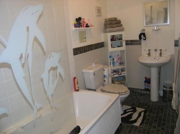Photo 11