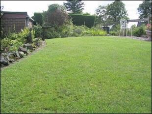 Lawn