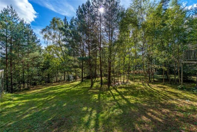 Woodland Area