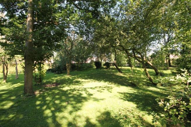 The Copse