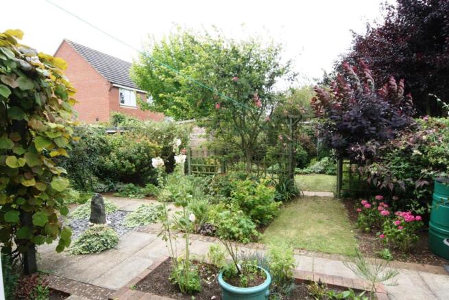 Photo 15