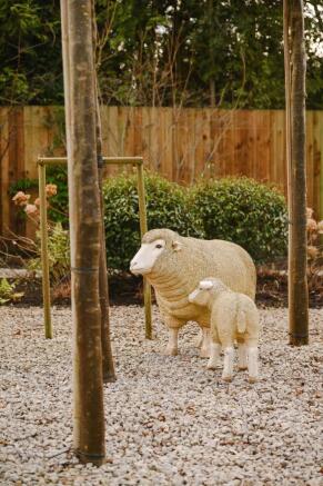 Photo 41