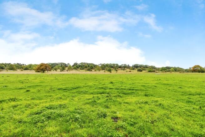 2025-10-03-65southpark054