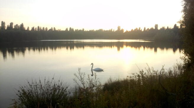 Photo 29