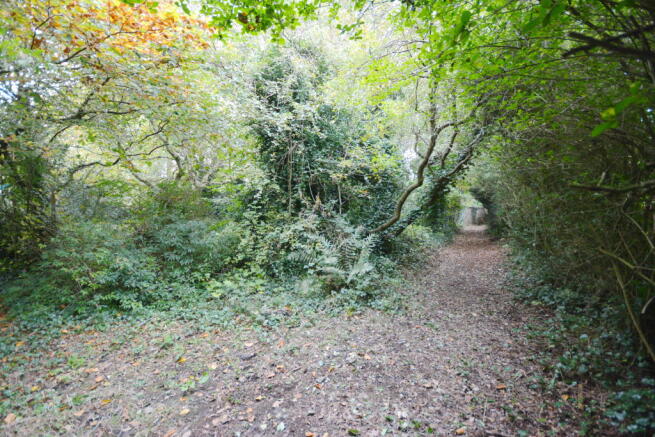 DSC_5661.JPG