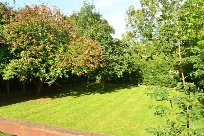 Rear Garden (Original)