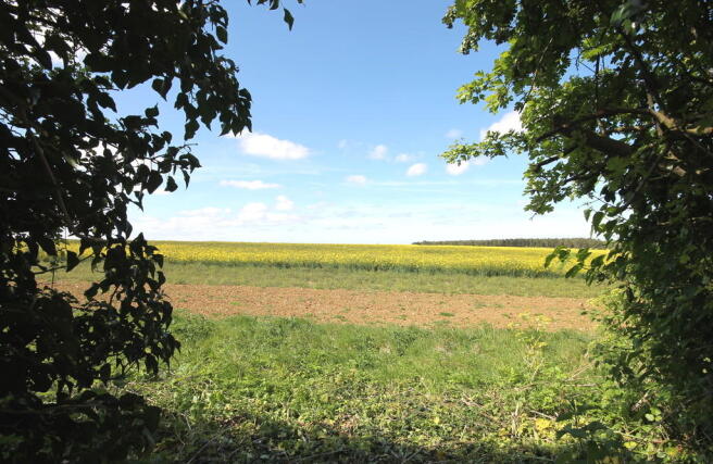 View to Rear