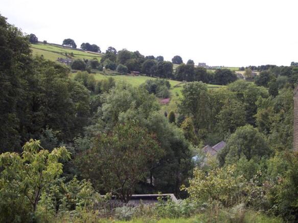 Image 12