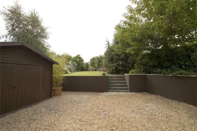 Photo 11