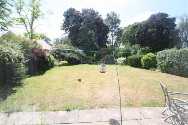 Photo 5