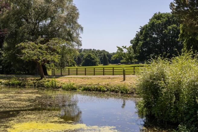 Pond