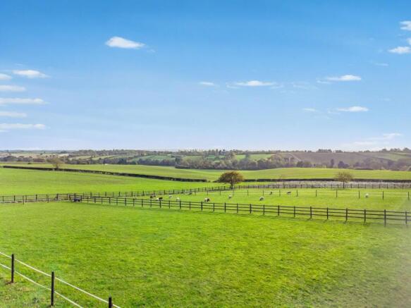 Views from Rear of Property