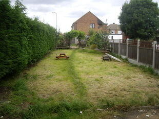 Pic 9