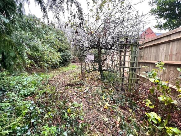 Garden...jpg