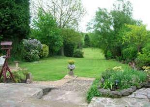 Garden - View 1