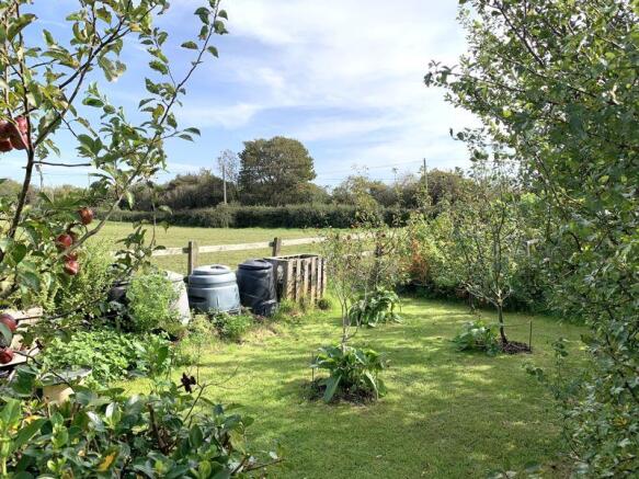 Allotment/Orchard
