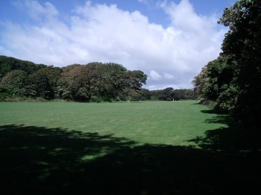 Rear Paddock