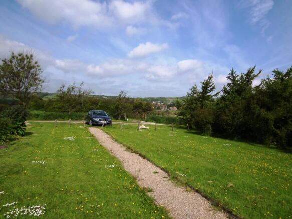 Back Garden